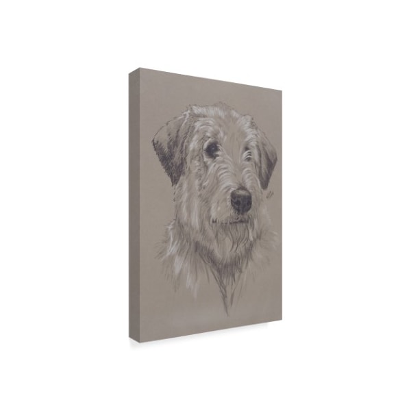 Barbara Keith 'Irish Wolfhound Illustration' Canvas Art,16x24